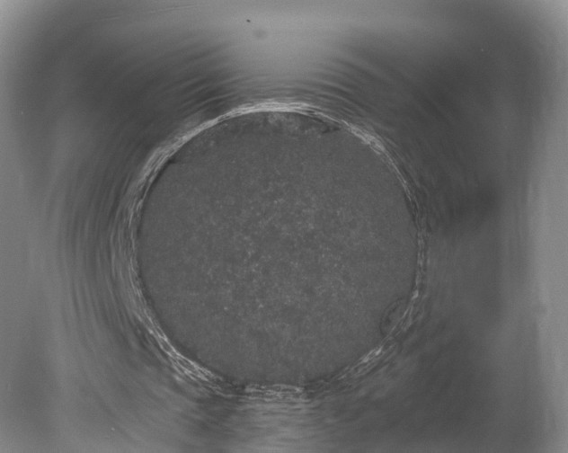 X0000078280337200611101139