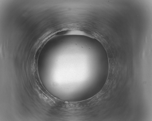 X0000078280338200611101139