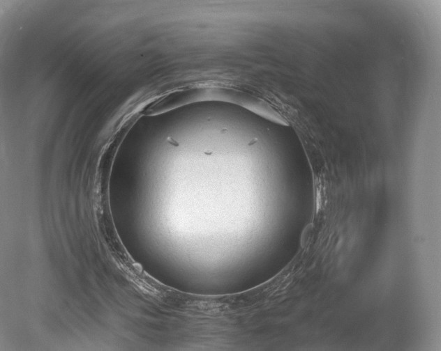 X0000078280339200611101139