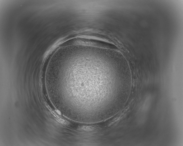 X0000078280341200611101139