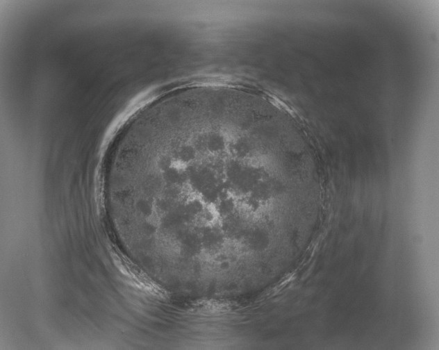 X0000078280343200611101139