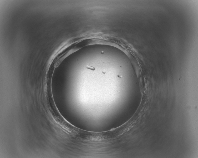 X0000078280344200611101139