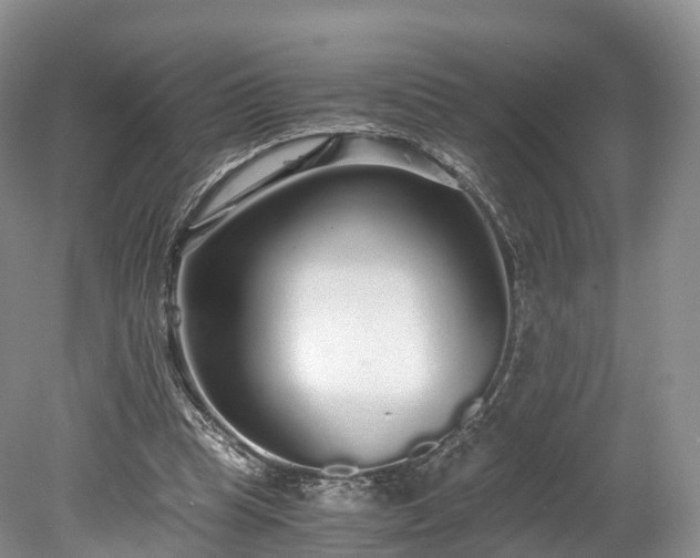 X0000078280345200611101139