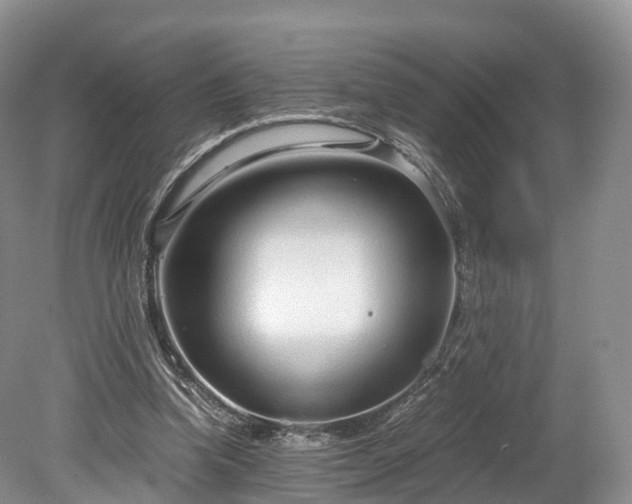 X0000078280346200611101139