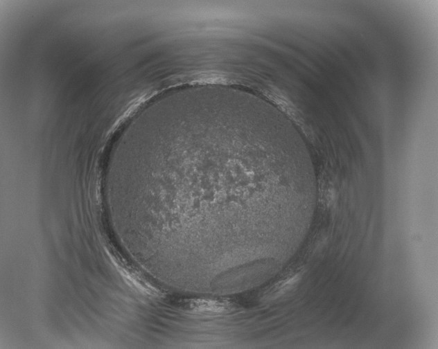 X0000078280347200611101139