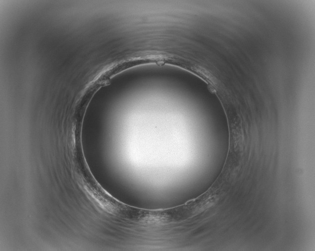 X0000078280350200611101139