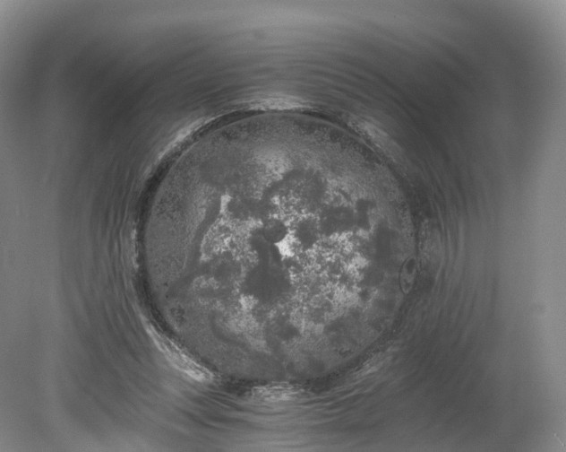 X0000078280351200611101139