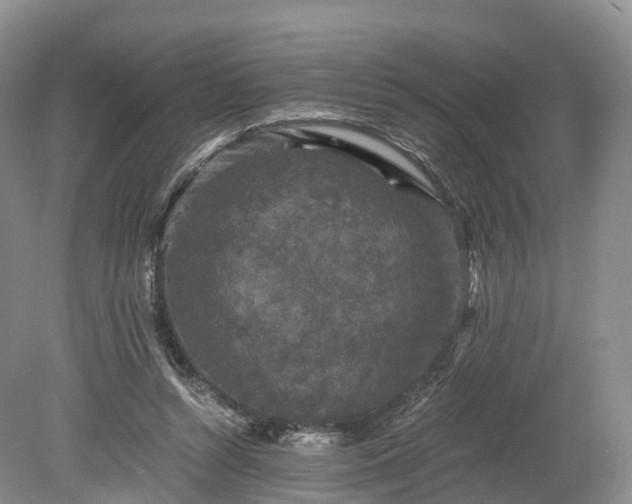 X0000078280352200611101139