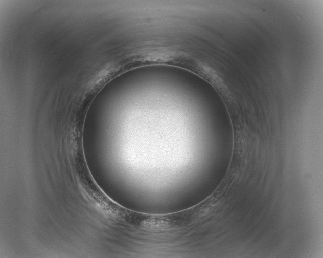 X0000078280354200611101139