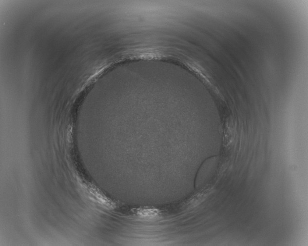 X0000078280355200611101139