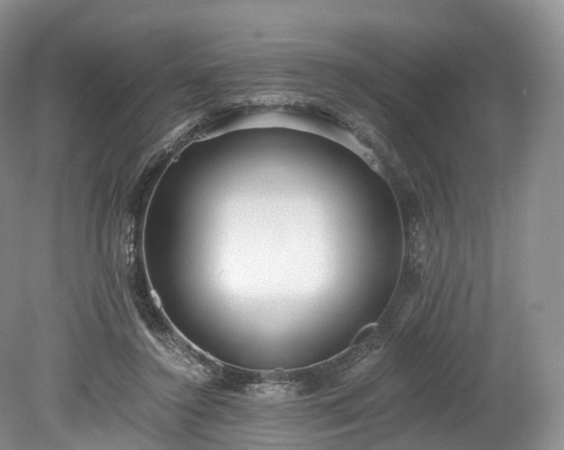 X0000078280356200611101139