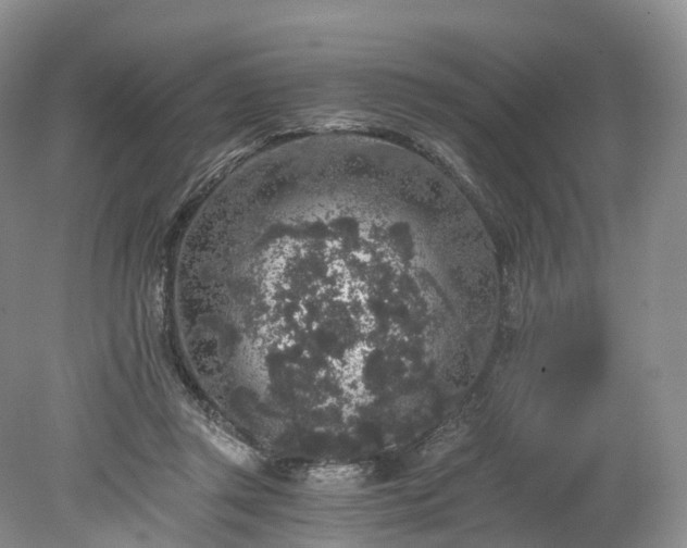 X0000078280357200611101139