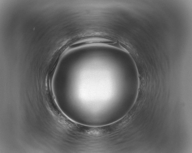 X0000078280358200611101139