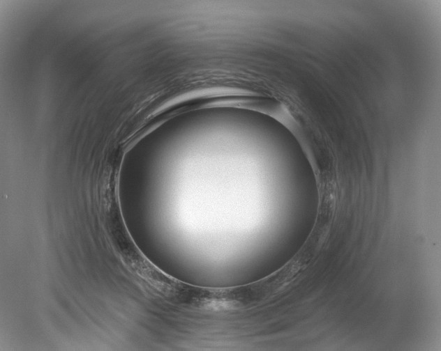 X0000078280360200611101139