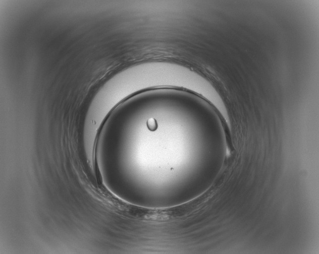 X0000078280362200611101139