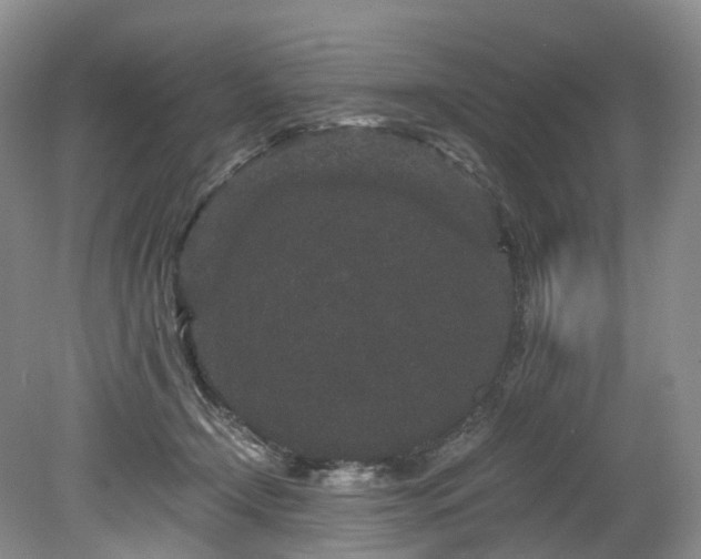 X0000078280366200611101139