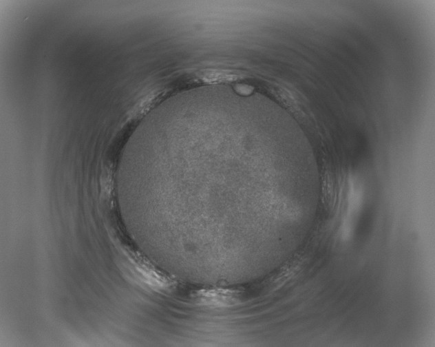 X0000078280367200611101139