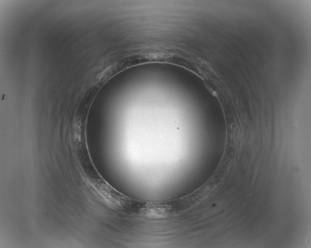 X0000078280368200611101139