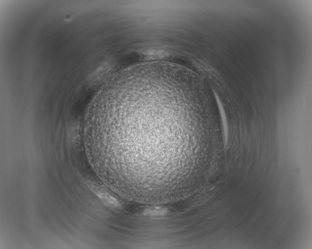 X0000078280369200611101140