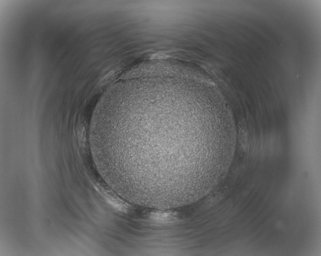 X0000078280375200611101140