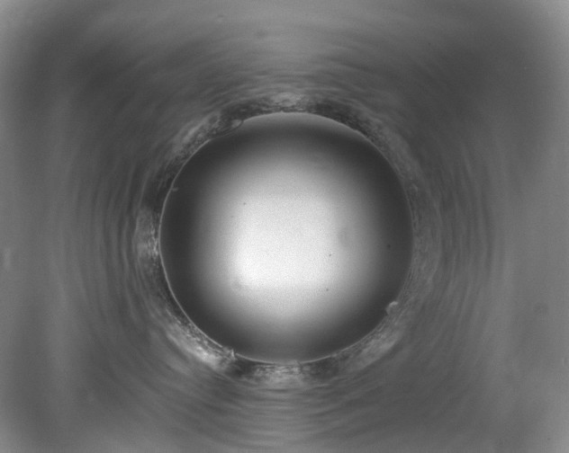 X0000078280384200611101140