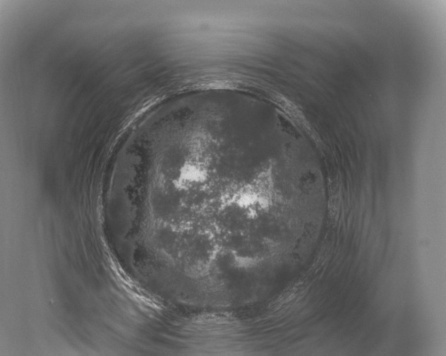 X0000078280386200611101139