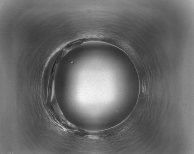 X0000078280388200611101139