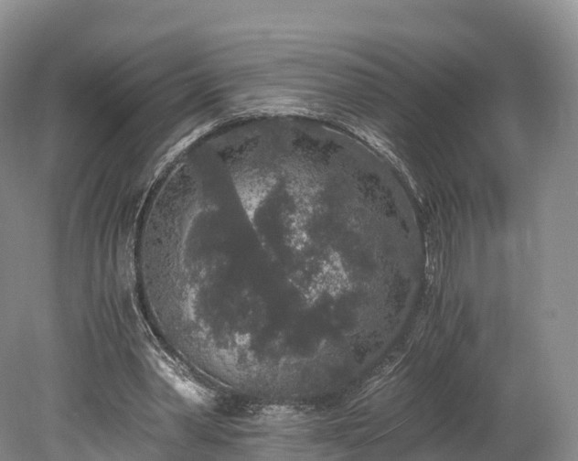 X0000078280390200611101139