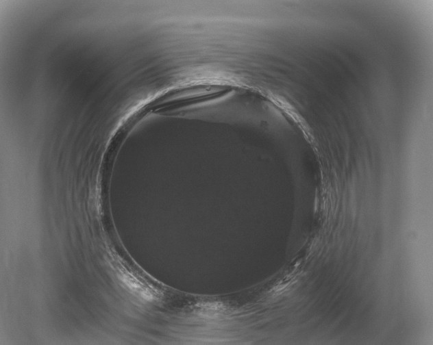 X0000078280391200611101139