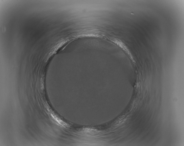 X0000078280393200611101139