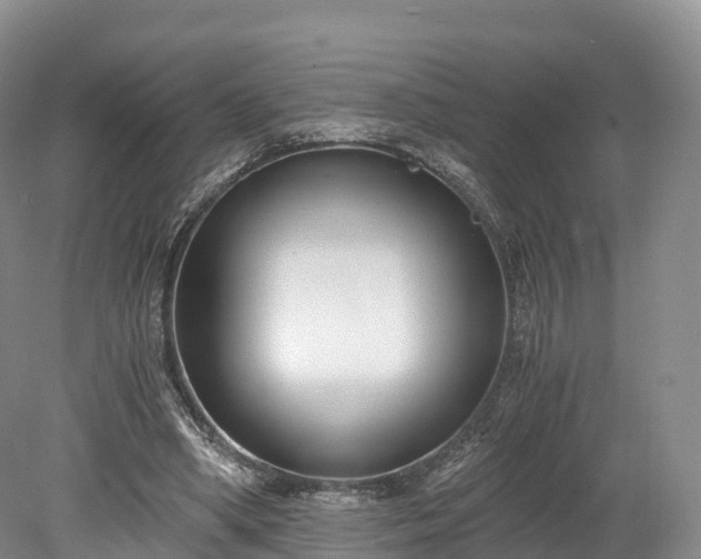 X0000078280394200611101139