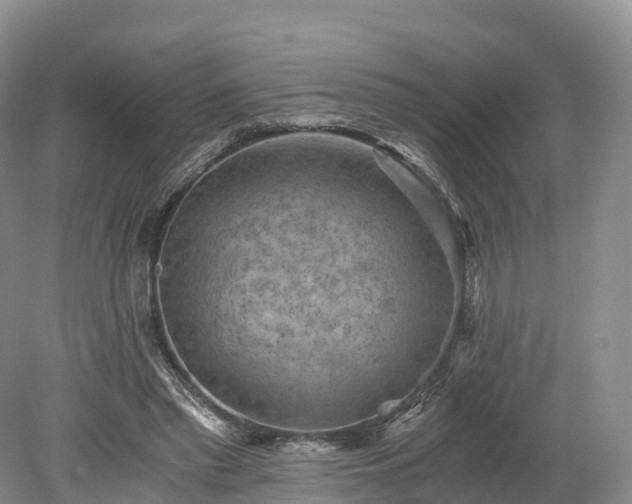 X0000078280397200611101139