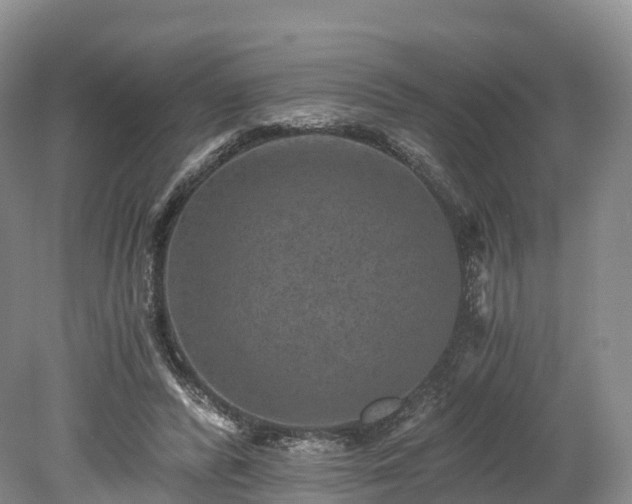 X0000078280400200611101139