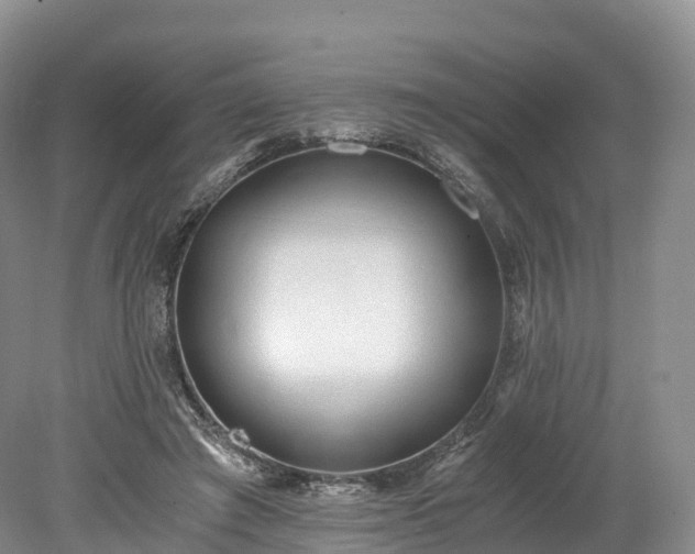 X0000078280401200611101139