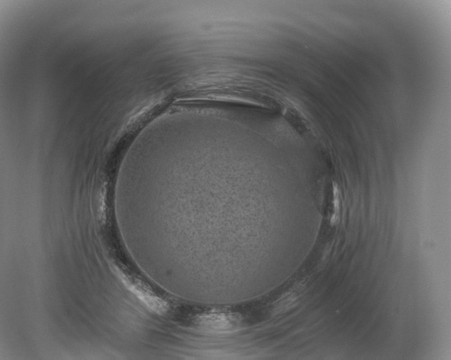 X0000078280404200611101139