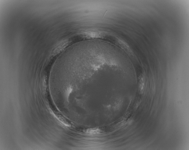 X0000078280410200611101139