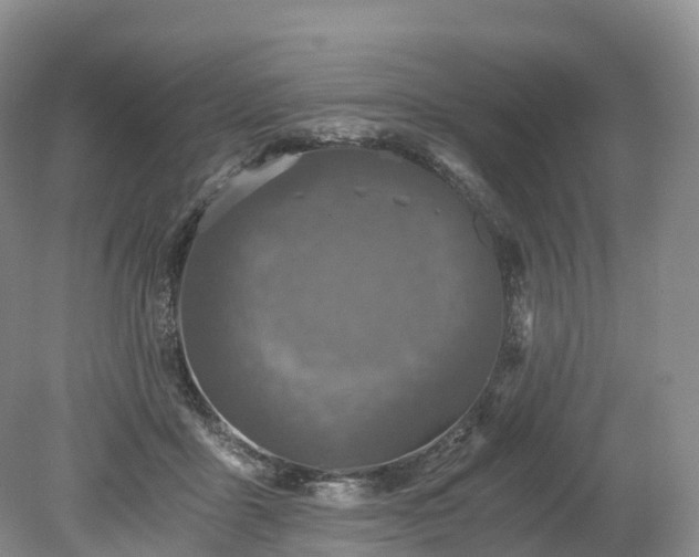 X0000078280411200611101139