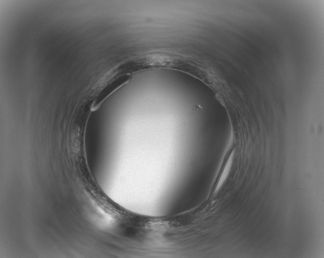 X0000078280413200611101138