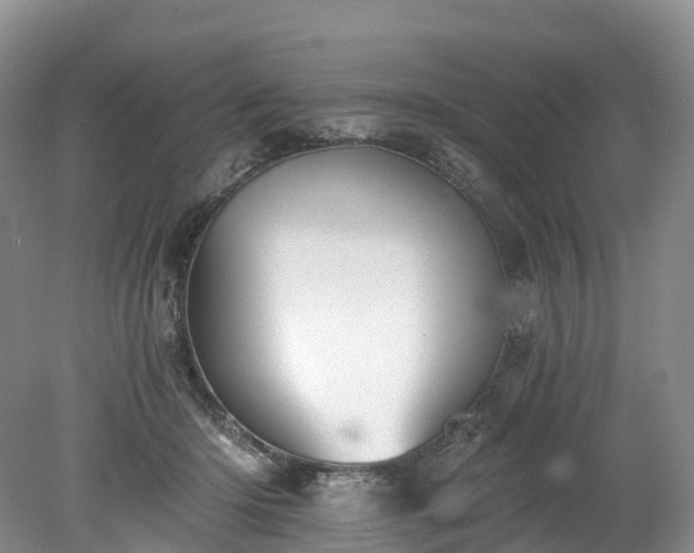 X0000078280414200611101138