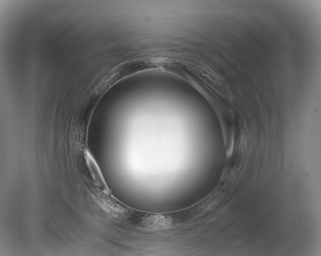 X0000078280421200611101138