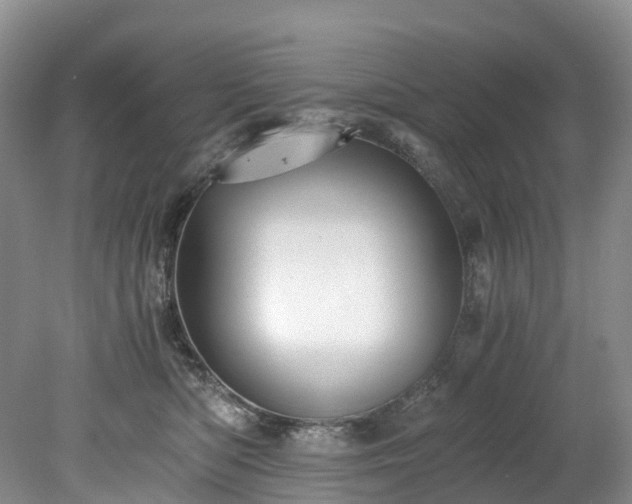 X0000078280422200611101138