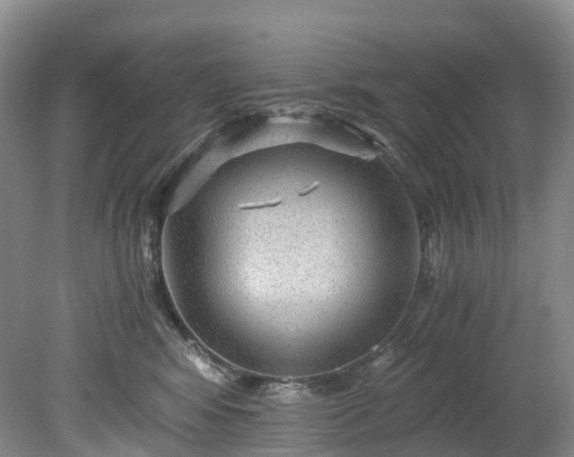 X0000078280424200611101138