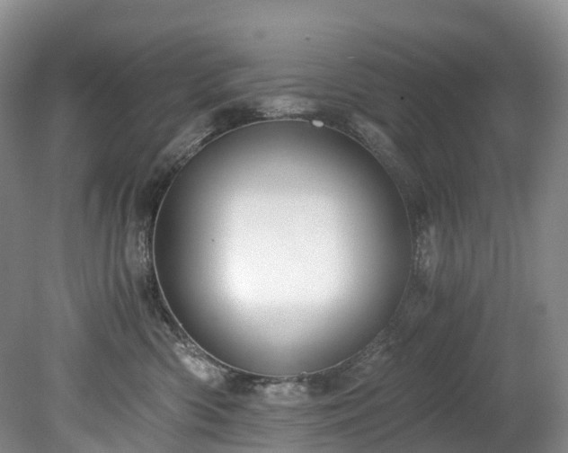 X0000078280426200611101138