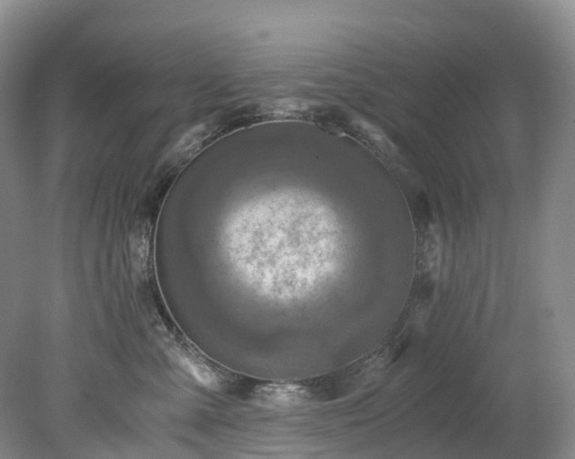 X0000078280427200611101138