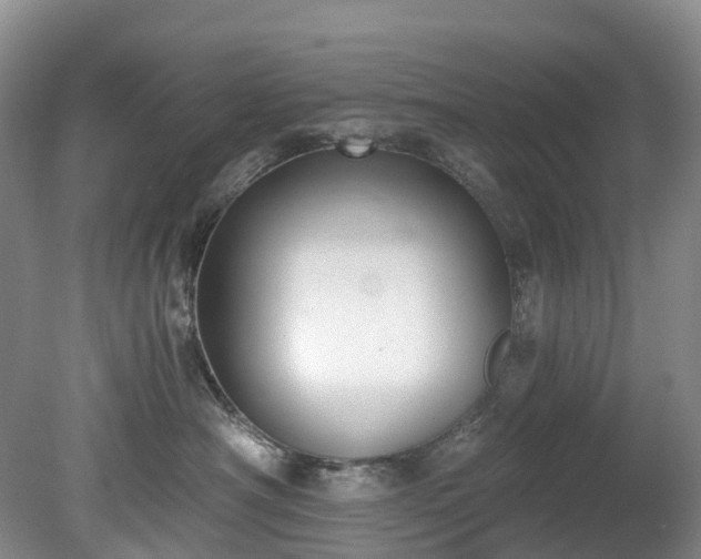 X0000078280430200611101138