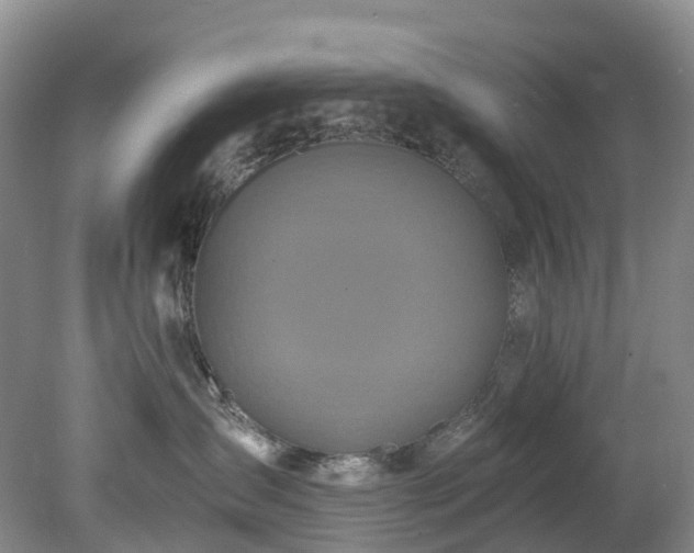 X0000078280431200611101138