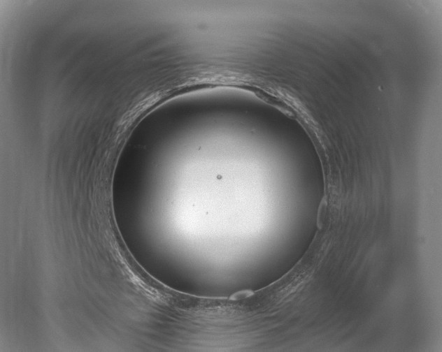 X0000078280433200611101137