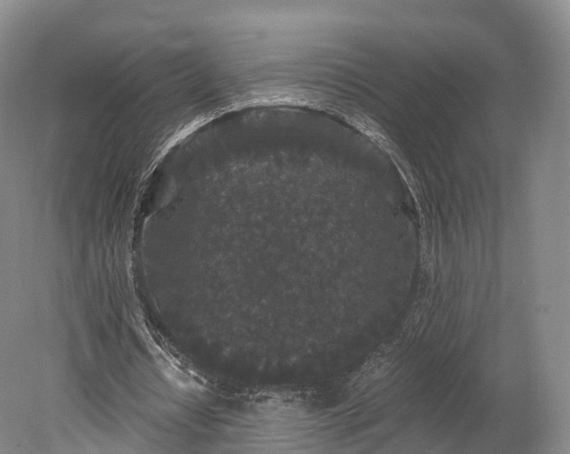 X0000078280434200611101137