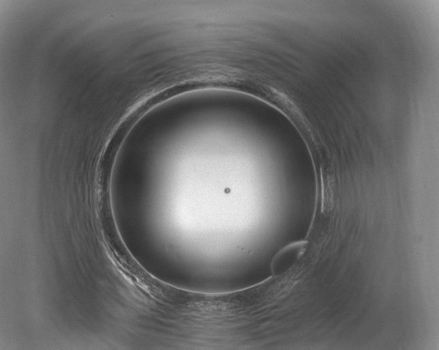 X0000078280435200611101137