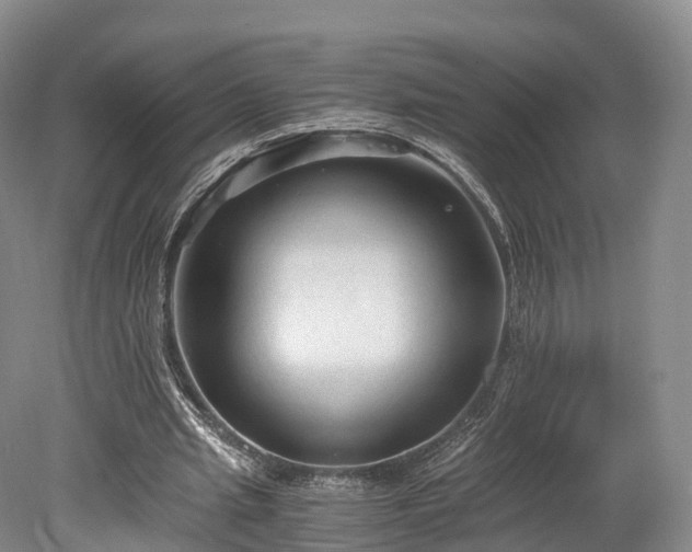 X0000078280437200611101137